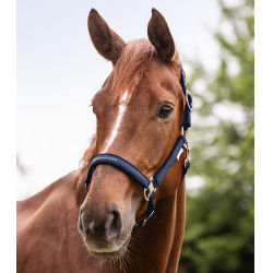 Licol Waldhausen Atheltic Mitternachtsblau Licol Waldhausen Atheltic Mitternachtsblau