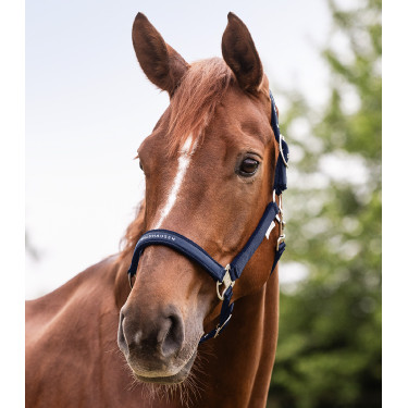 Licol Waldhausen Atheltic Mitternachtsblau Licol Waldhausen Atheltic Mitternachtsblau
