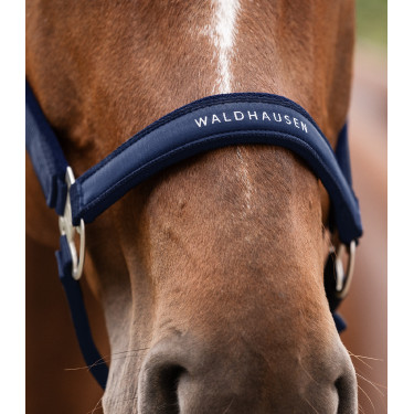 Licol Waldhausen Atheltic Mitternachtsblau Licol Waldhausen Atheltic Mitternachtsblau