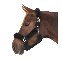 Licol Waldhausen Cozy Schwarz / Silber