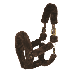 Licol Waldhausen Cozy Braun / Gold