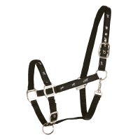 Licol Waldhausen déco Petits chevaux Schwarz