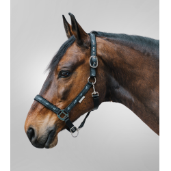 Licol Waldhausen déco Petits chevaux Schwarz