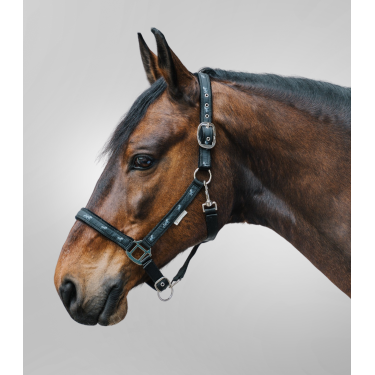 Licol Waldhausen déco Petits chevaux Schwarz