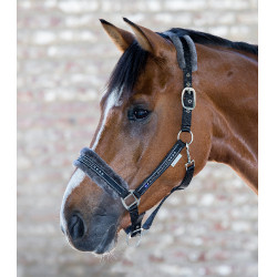 Licol Waldhausen Elegant Schwarz