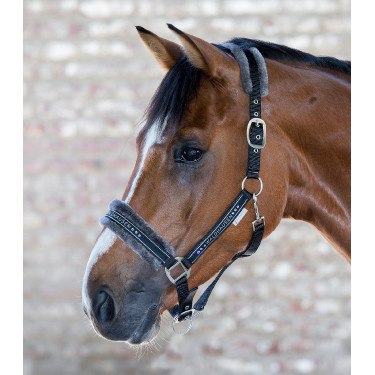 Licol Waldhausen Elegant Schwarz