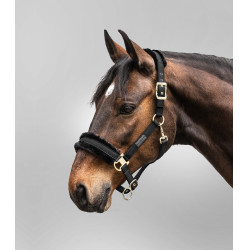 Licol Waldhausen Exclusive Schwarz / schwarz