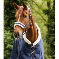 Licol Waldhausen Exclusive Nachtblau / Beige