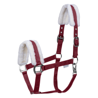 Licol Waldhausen First Schwarz