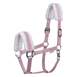 Licol Waldhausen First Kirschblüte