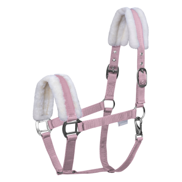 Licol Waldhausen First Kirschblüte