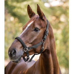 Licol Waldhausen Gloomy Granitgrau