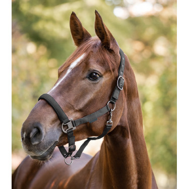 Licol Waldhausen Gloomy Granitgrau