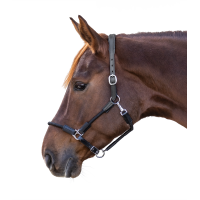 Licol Waldhausen Nevada Schwarz / Silber