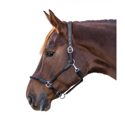 Licol Waldhausen Nevada Schwarz / Silber