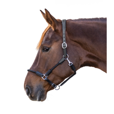 Licol Waldhausen Nevada Schwarz / Silber