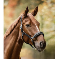 Licol Waldhausen S-Line en cuir Glamour Schwarz