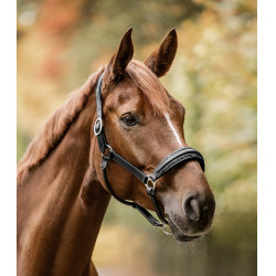 Licol Waldhausen S-Line en cuir Glamour Schwarz