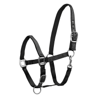 Licol Waldhausen Satin Schwarz