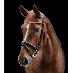 Clincher Trense Waldhausen X-Line Schwarz