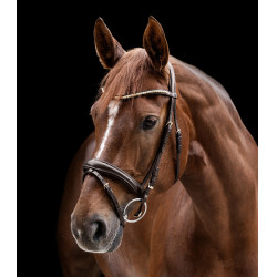 Clincher Trense Waldhausen X-Line Braun