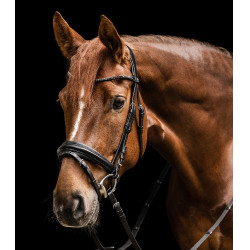 Lieblingszaum Bridon Waldhausen X-Line Schwarz