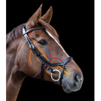 Trense Relaxation Waldhausen X-Line Schwarz Trense Relaxation Waldhausen X-Line Schwarz