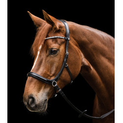 Gebisslose Trense Sensation Waldhausen X-Line Schwarz Gebisslose Trense Sensation Waldhausen X-Line Schwarz