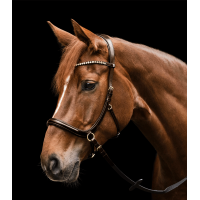 Gebisslose Trense Sensation Waldhausen X-Line Braun Gebisslose Trense Sensation Waldhausen X-Line Braun