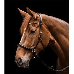 Gebisslose Trense Sensation Waldhausen X-Line Braun