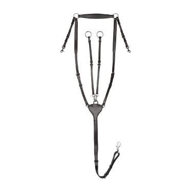 Collier de chasse Waldhausen Professional X-Line Schwarz