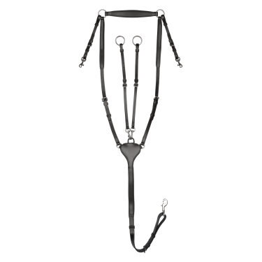 Collier de chasse Waldhausen Professional X-Line Collier de chasse Waldhausen Professional X-Line