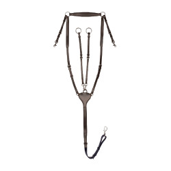 Collier de chasse Waldhausen Professional X-Line Braun
