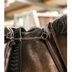 Collier de chasse Waldhausen Professional X-Line Braun