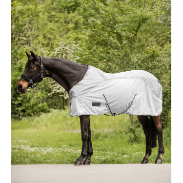 Regendecke mit Fliegenschutz Waldhausen Protect
