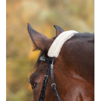 Nasenriemenschoner Waldhausen Creme Beige