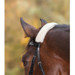 Nasenriemenschoner Waldhausen Creme Beige