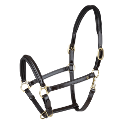 Lederhalfter Waldhausen Classy X-Line Braun / Gold