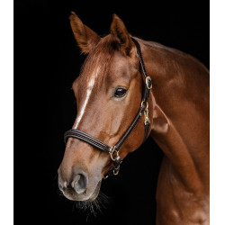 Lederhalfter Waldhausen Classy X-Line Braun / Gold