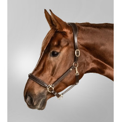 Lederhalfter Waldhausen Classy X-Line Braun / Gold