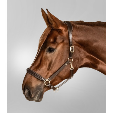 Lederhalfter Waldhausen Classy X-Line Braun / Gold