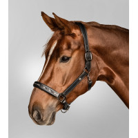 Lederhalfter Waldhausen Crystal X-Line Schwarz / Grau