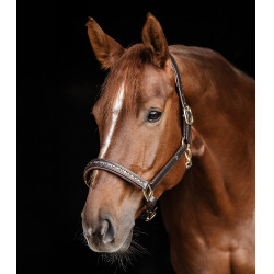 Lederhalfter Waldhausen Crystal X-Line Braun / Gold