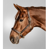 Lederhalfter Waldhausen Crystal X-Line Schwarz / Grau