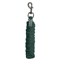 Anbindestrick Waldhausen Gloomy mit Standardkarabiner Tannengrün Gr&uuml;n