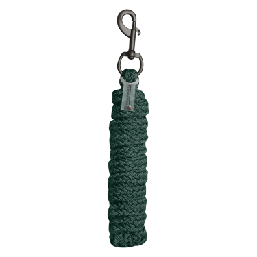 Anbindestrick Waldhausen Gloomy mit Standardkarabiner Tannengrün Gr&uuml;n