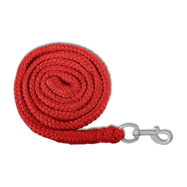 Longe de licol Waldhausen Economic mousqueton Rot