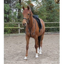 Martingal Waldhausen X-Line Schwarz