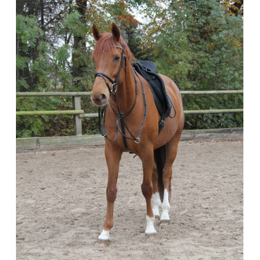 Martingal Waldhausen X-Line Schwarz