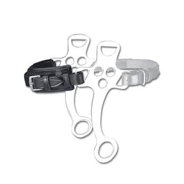 Waldhausen Nasenriemenriemen einzeln